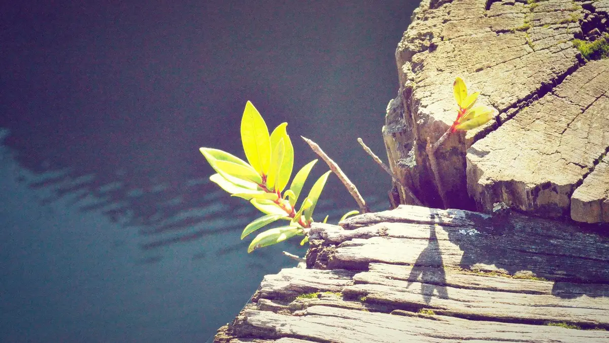 App store review response workflow across Apple App Store and Google Play