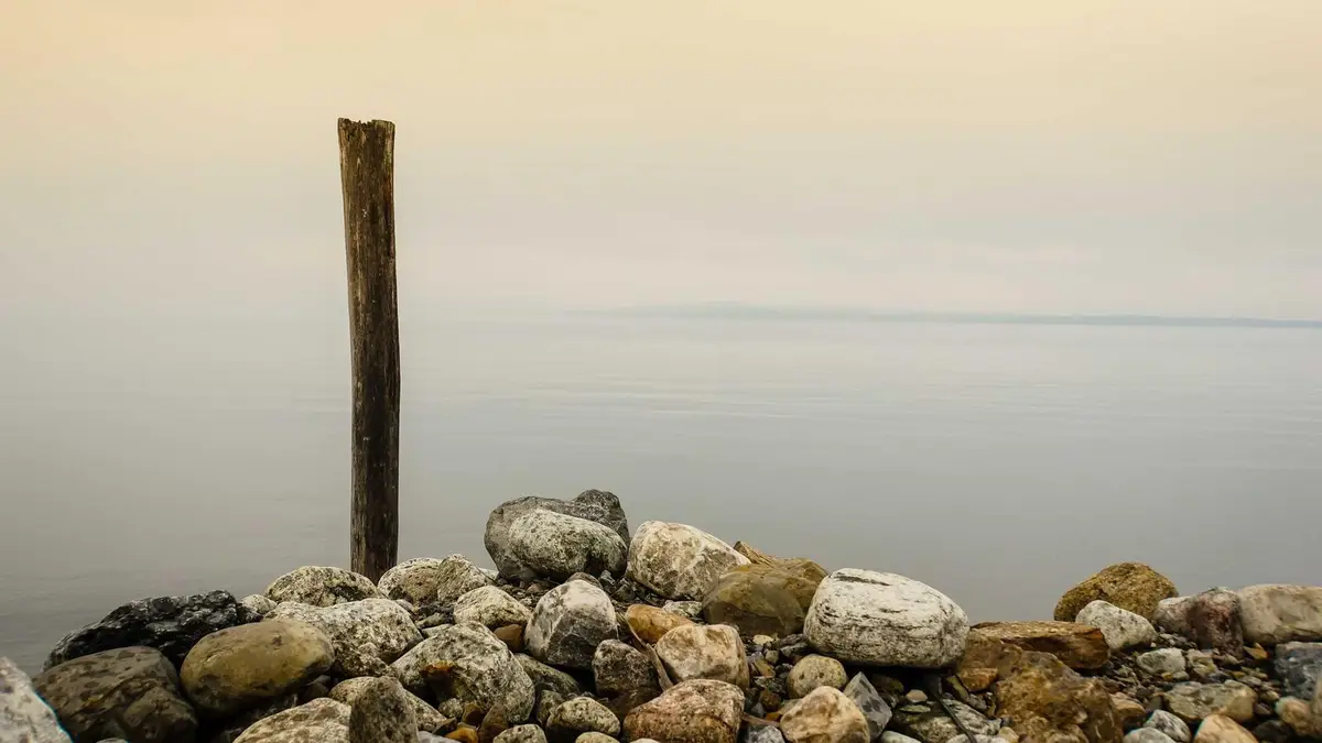 Visual guide for Google Review Response Time Sla Playbook