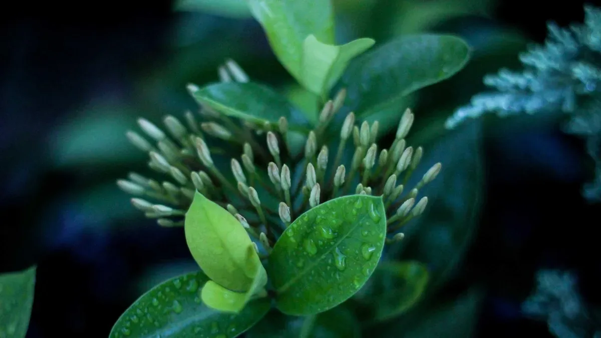 AI inventory optimization software KPI dashboard showing service level stockout and working capital impact