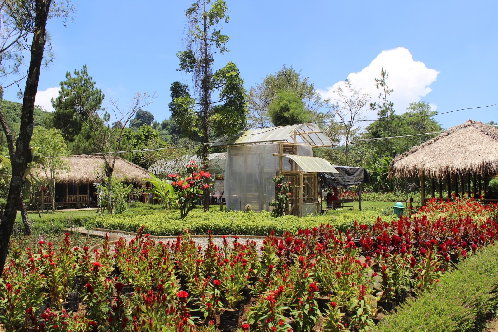 Jendela Alam Lembang, Tempat Wisata Bandung yang Sumpah