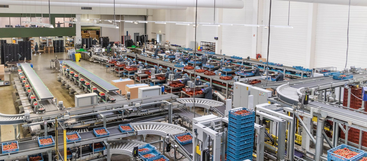 Weighment solutions for factories