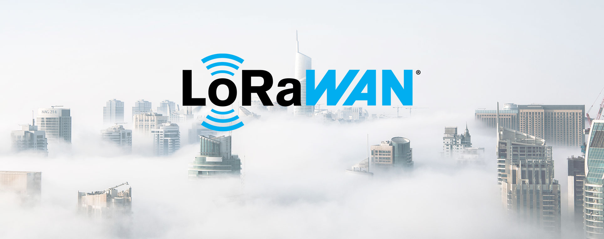 What is LoRaWAN and what does it have to do with digitisation?