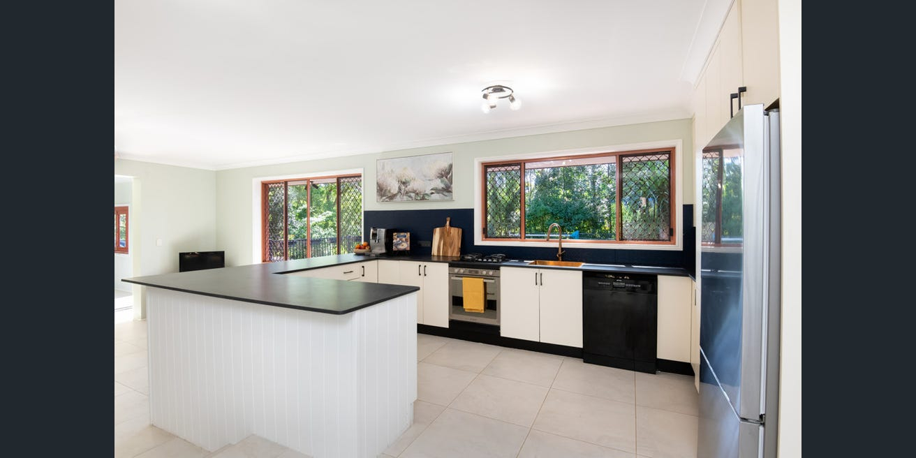 original input image