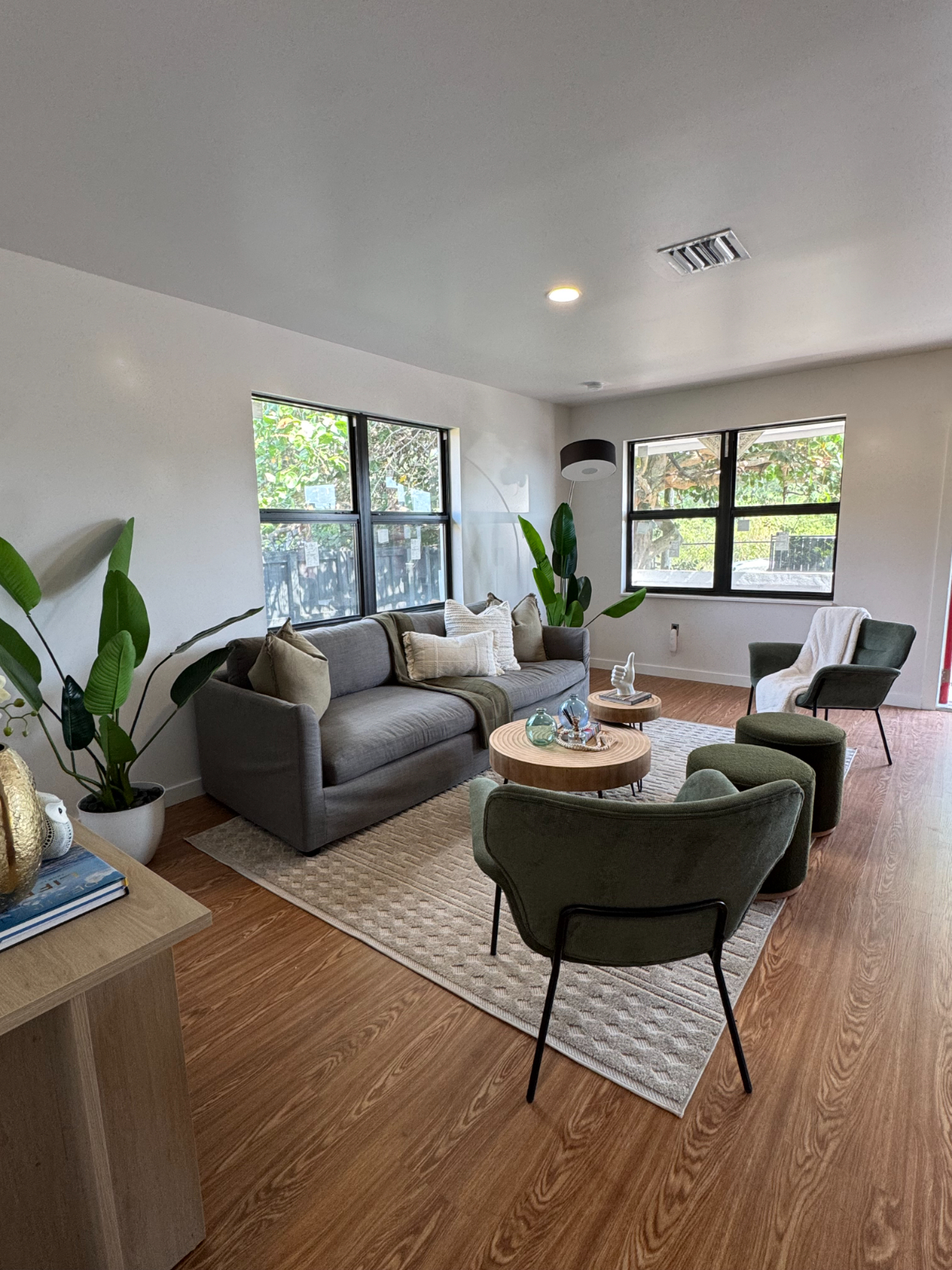 original input image