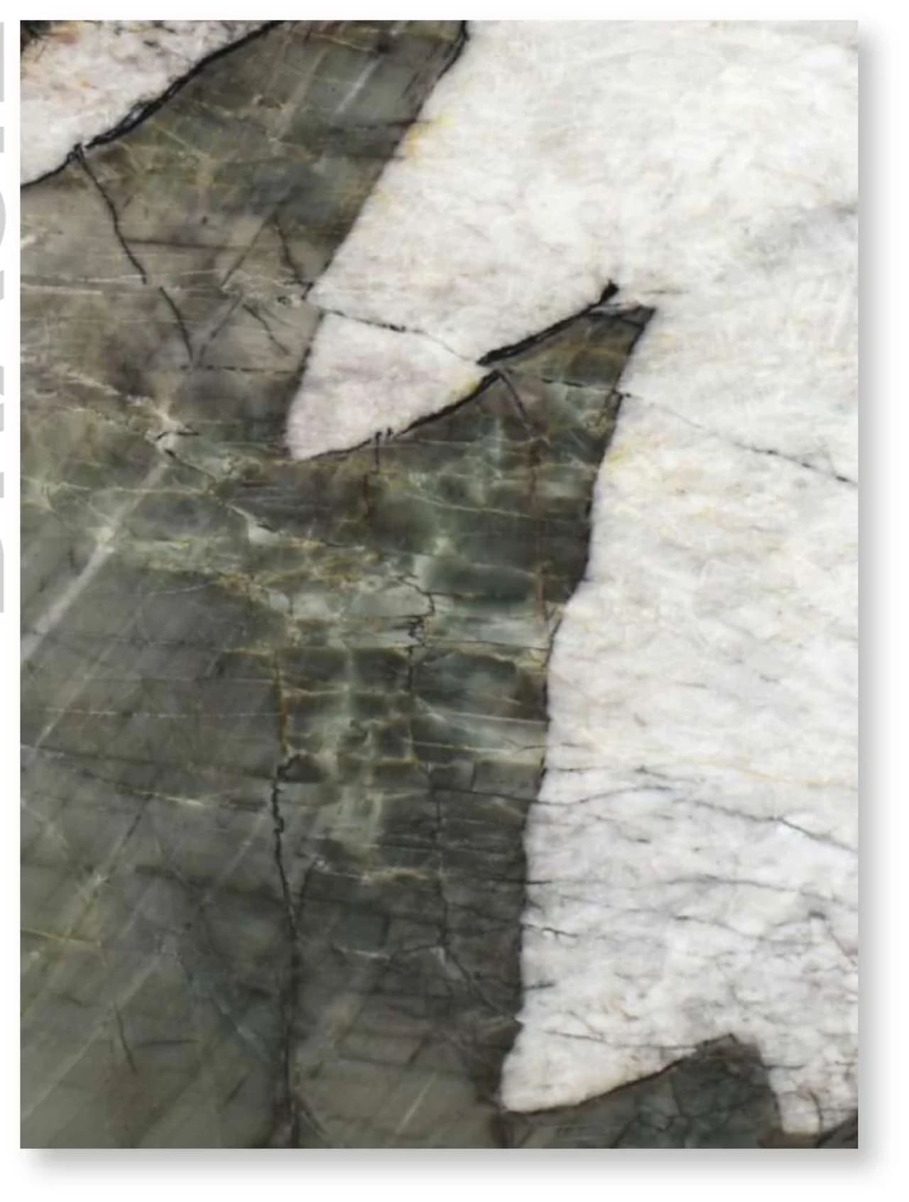Quartzite Botanic Crystal - vista 1