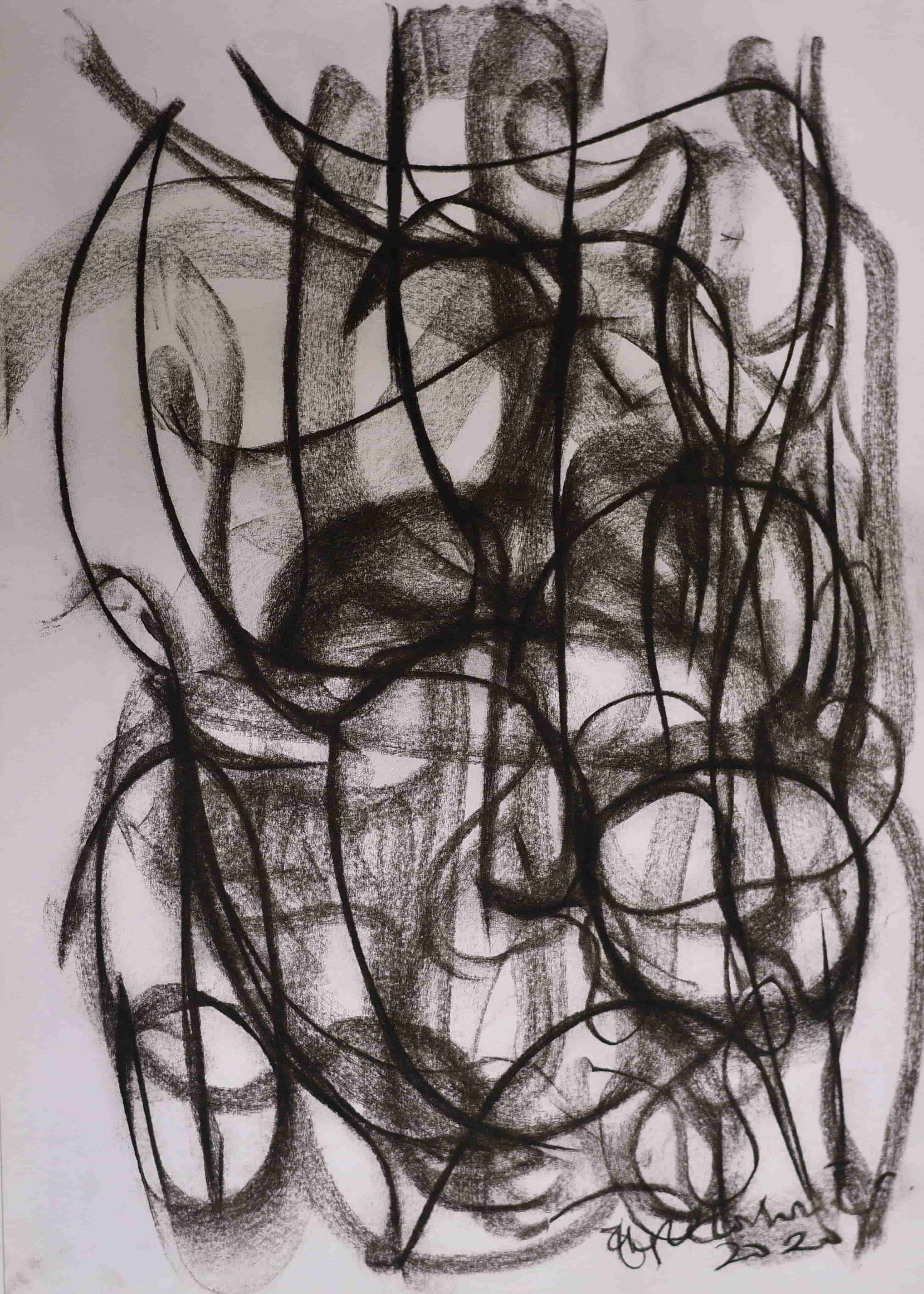 A Web Of Consciousness