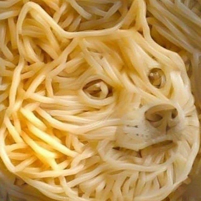 KOKO500