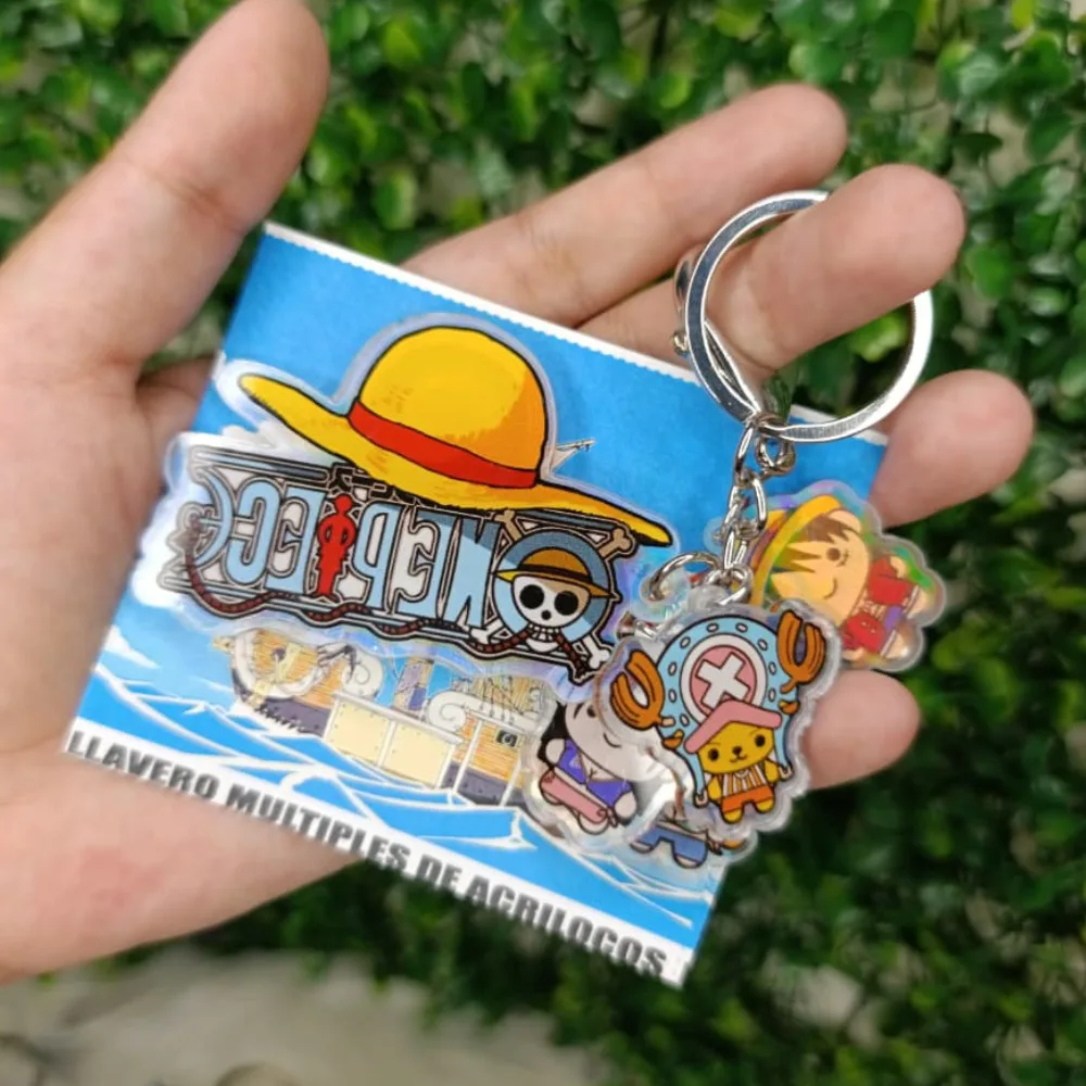 One Piece + Luffy, Nami, Chopper, Robin