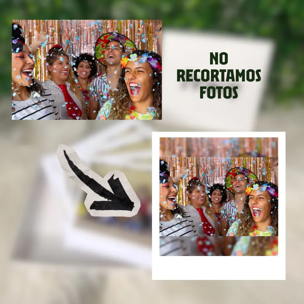 Polaroid Tipo 600 vista 2
