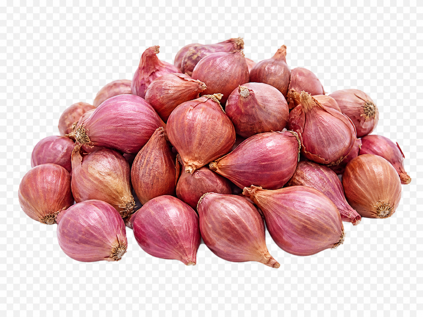 I KG of Fresh Shallot Onions | Premium Small Gourmet Onions Bulk & Retail