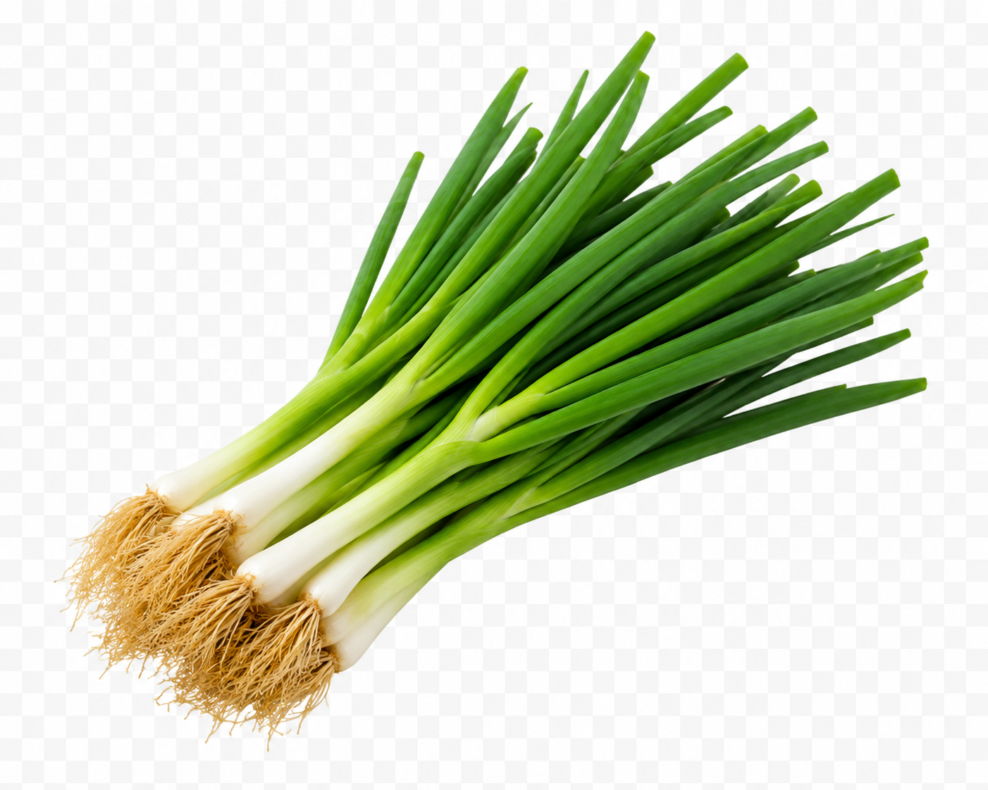 1KG of Fresh Spring Onions & Green Onions | Crisp Organic Salad Onions