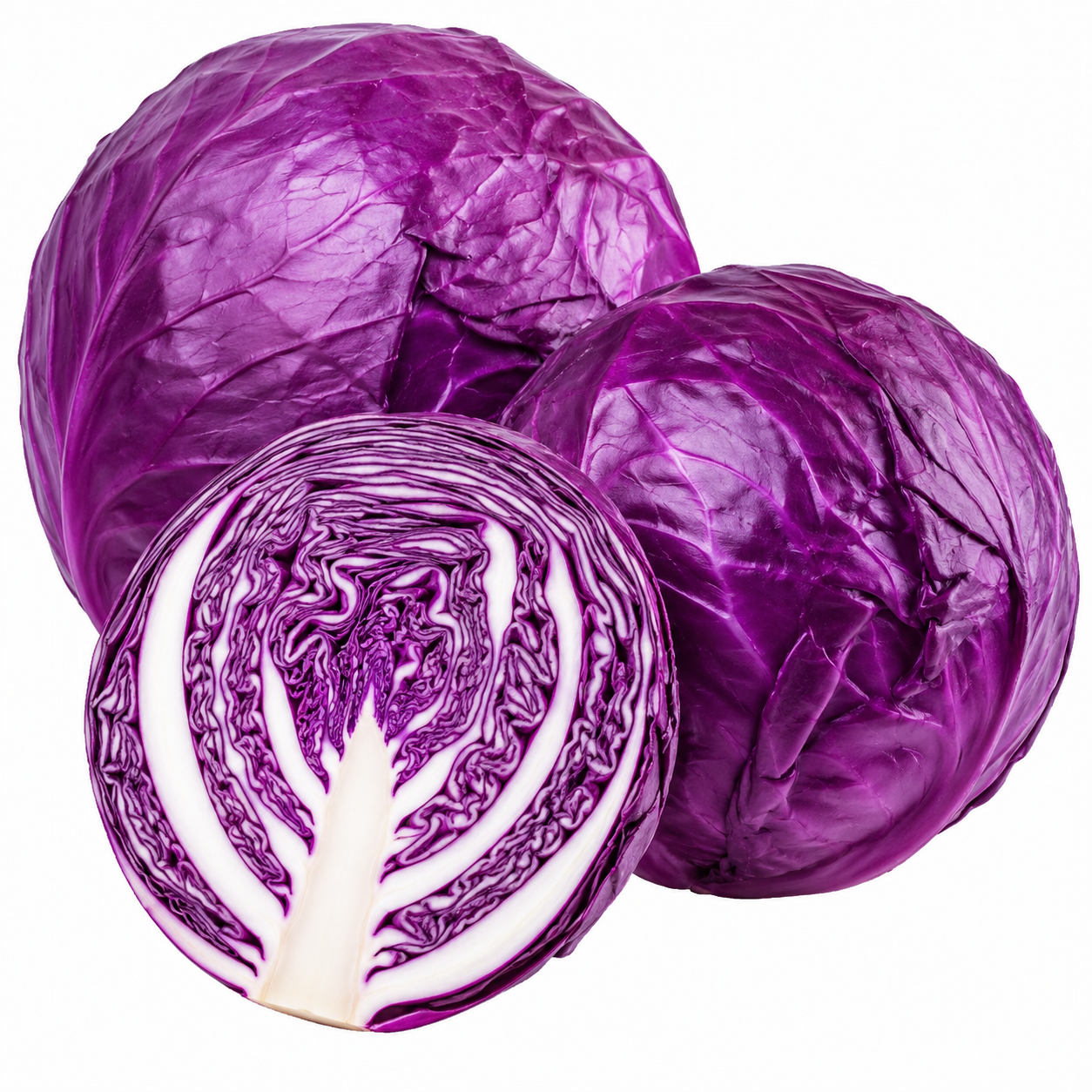 Fresh Purple Cabbage | Crisp Organic Red Cabbage Bulk & Retail
