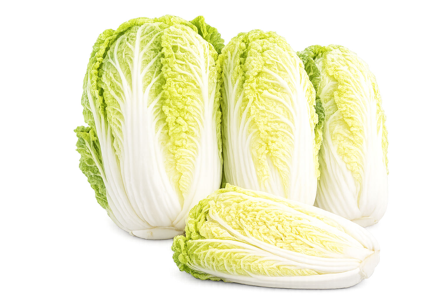 Fresh Chinese Cabbage (Napa Cabbage) | Premium Asian Leafy Vegetable