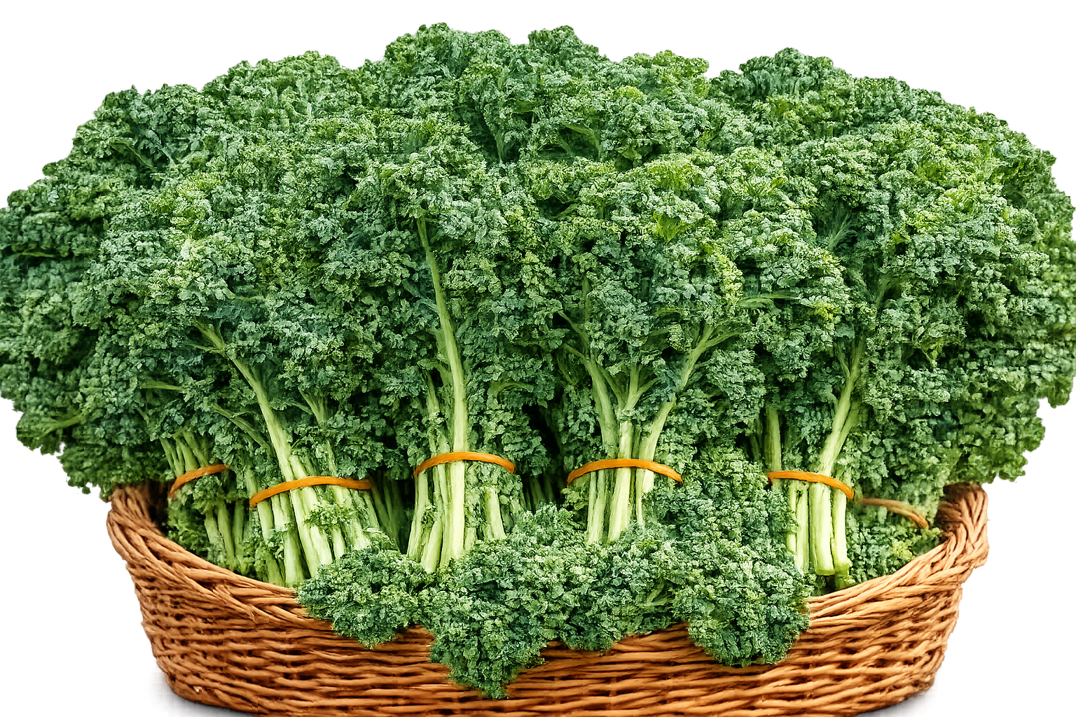 1KG of Fresh Kale Cabbage (Sukuma Wiki) | Organic Leafy Green Vegetable Bulk & Retail