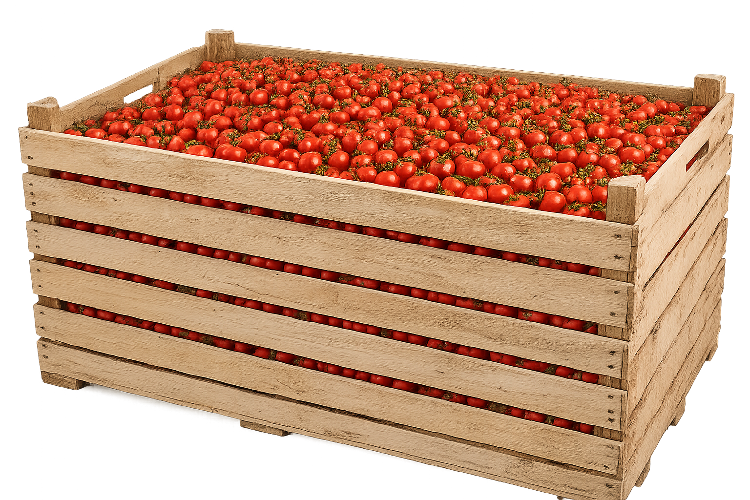Fresh Jumbo Crate of Tomatoes | Premium Wholesale Ripe Red Tomatoes Bulk Supply
