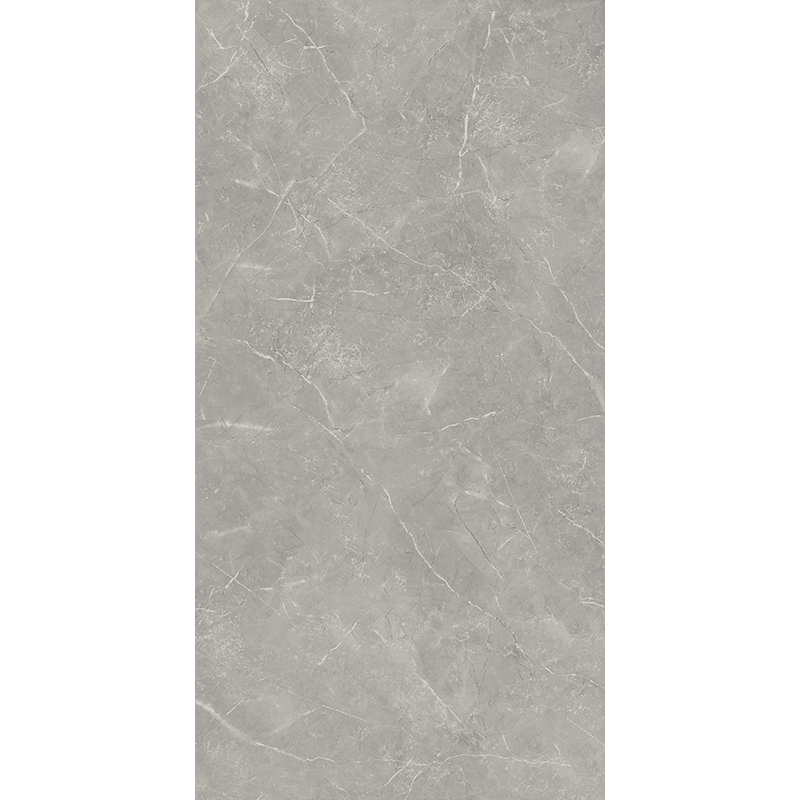 PORC ROMA GRIS AC 61 X 120