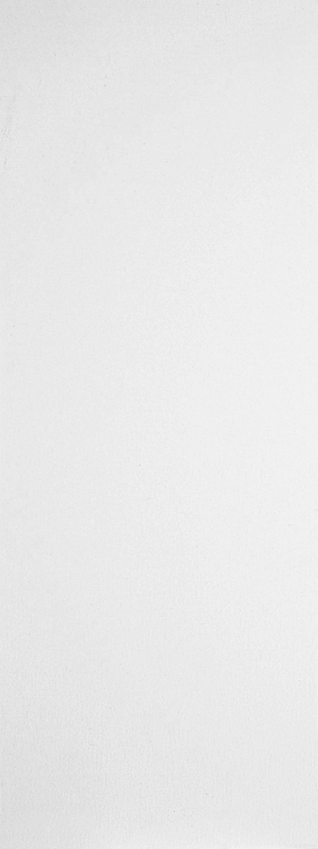 Flush White interior door