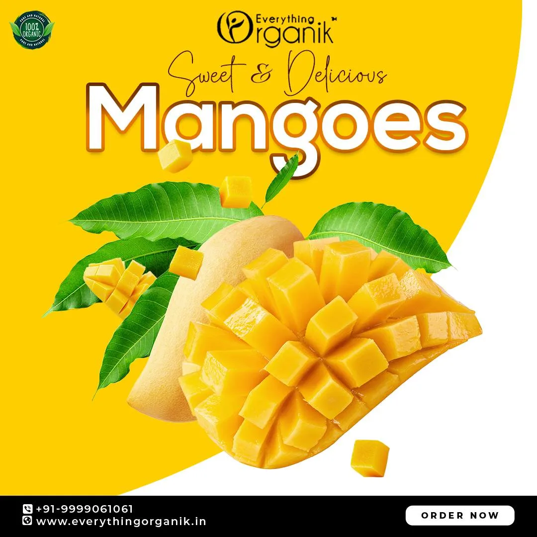Everything Organik