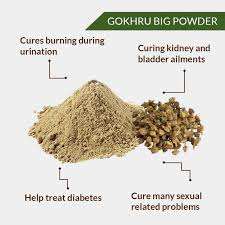 Parijata - Gokhru Powder