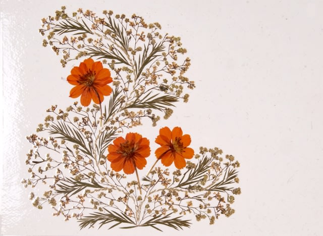 Shradhanjali — Table Mat Classic Flower Set Of 6
