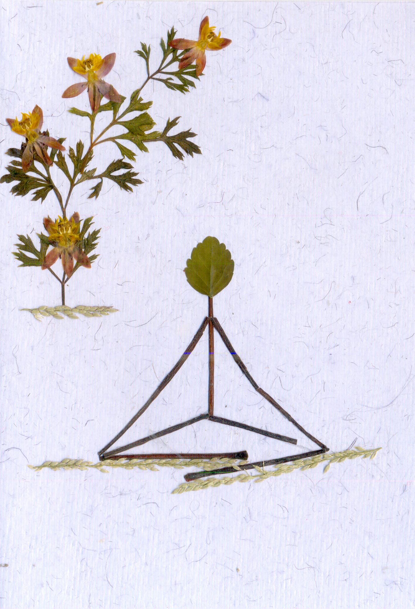 Shradhanjali — Yoga Cards Set of 5