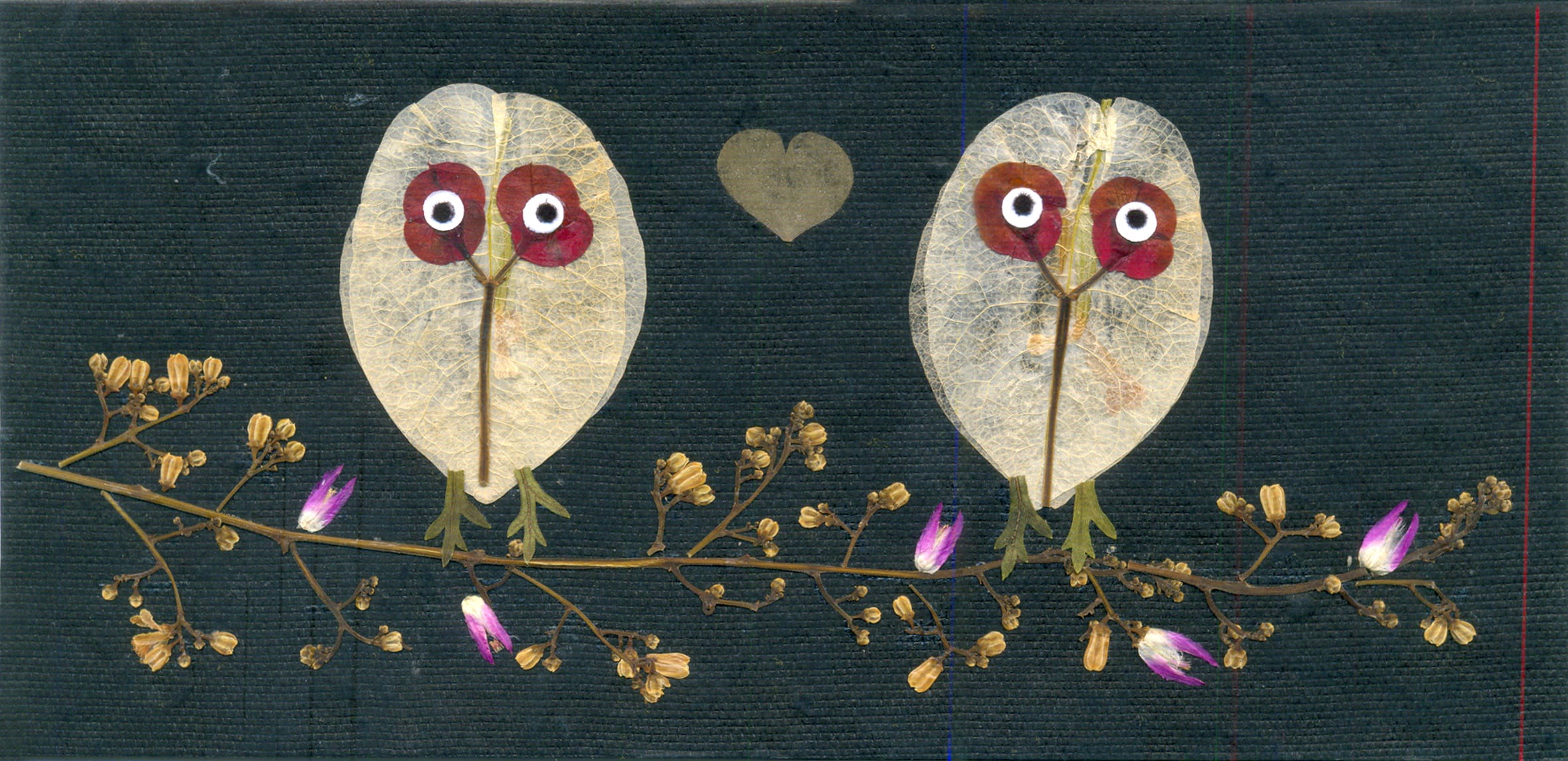 Shradhanjali — Owls