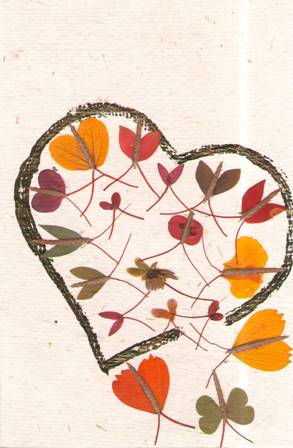 Shradhanjali — Heart Butterflies