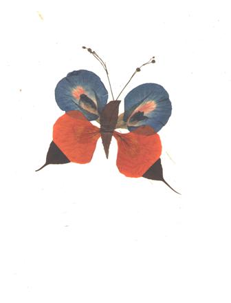Shradhanjali — Blue Butterfly