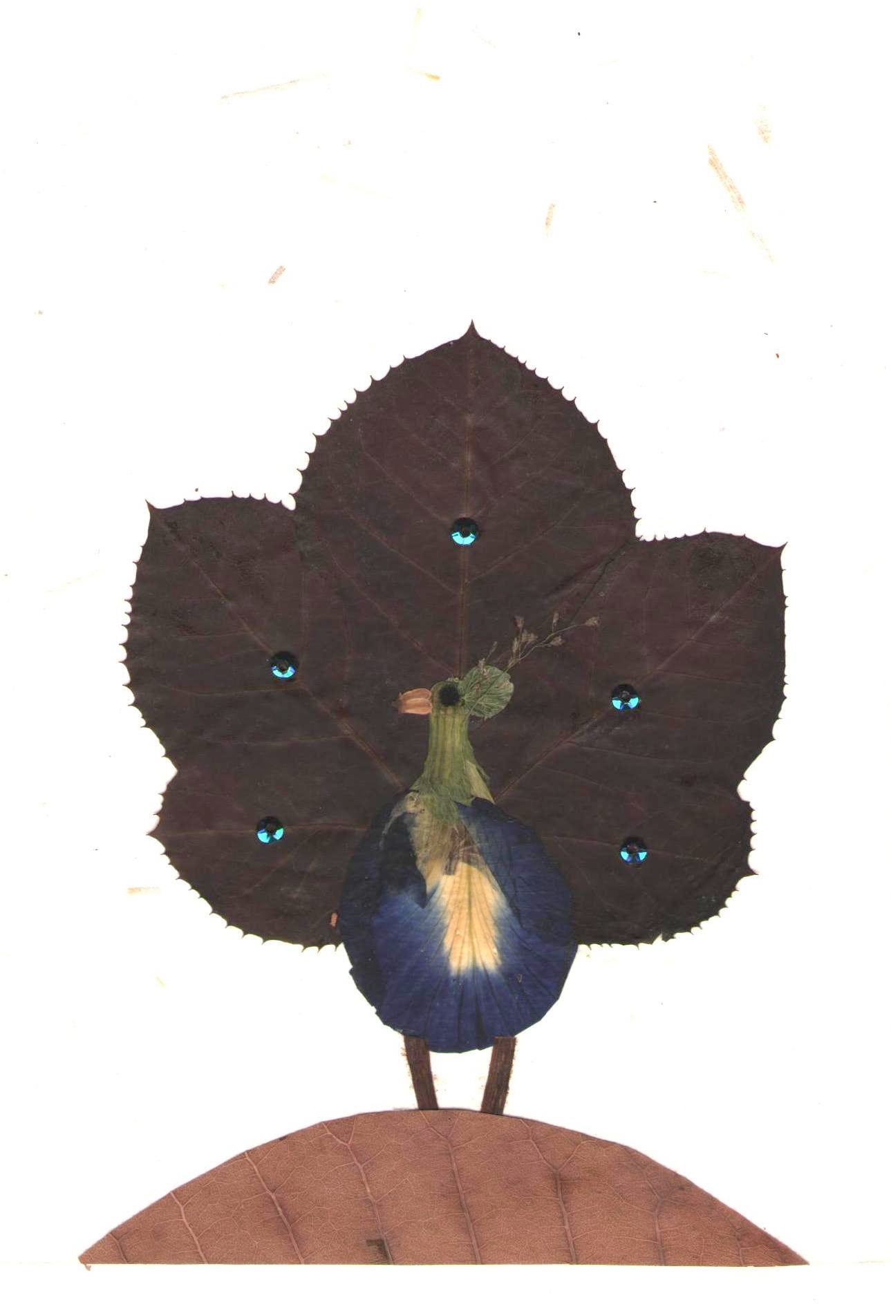 Shradhanjali — Peacock