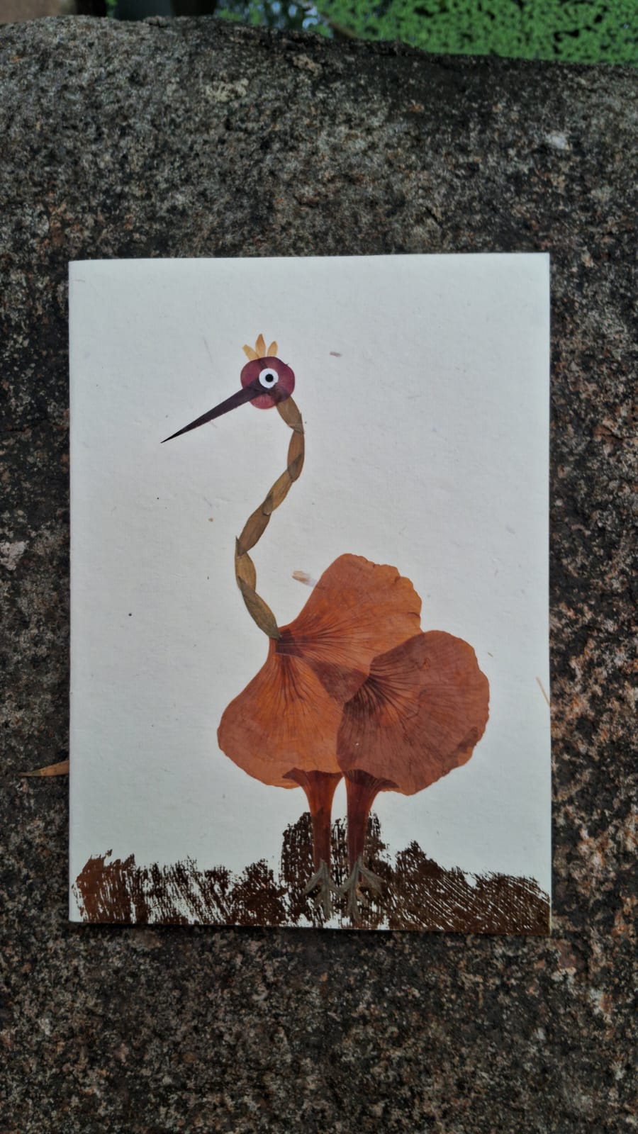 Shradhanjali — Ostrich