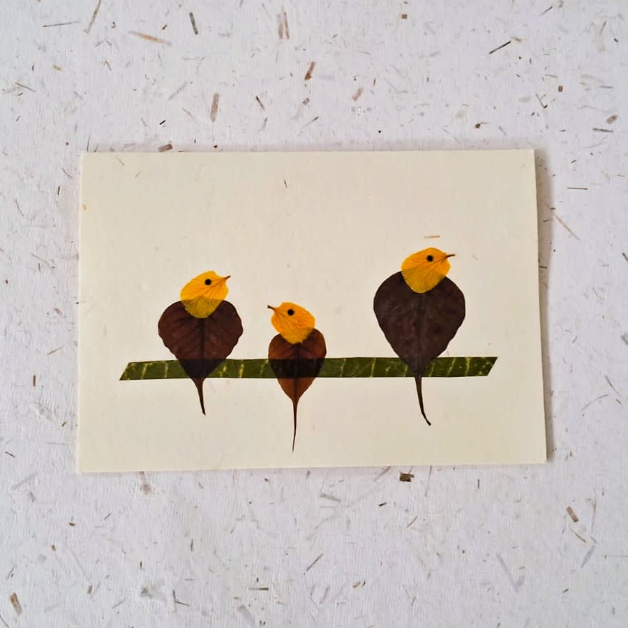 Shradhanjali — Bird Family