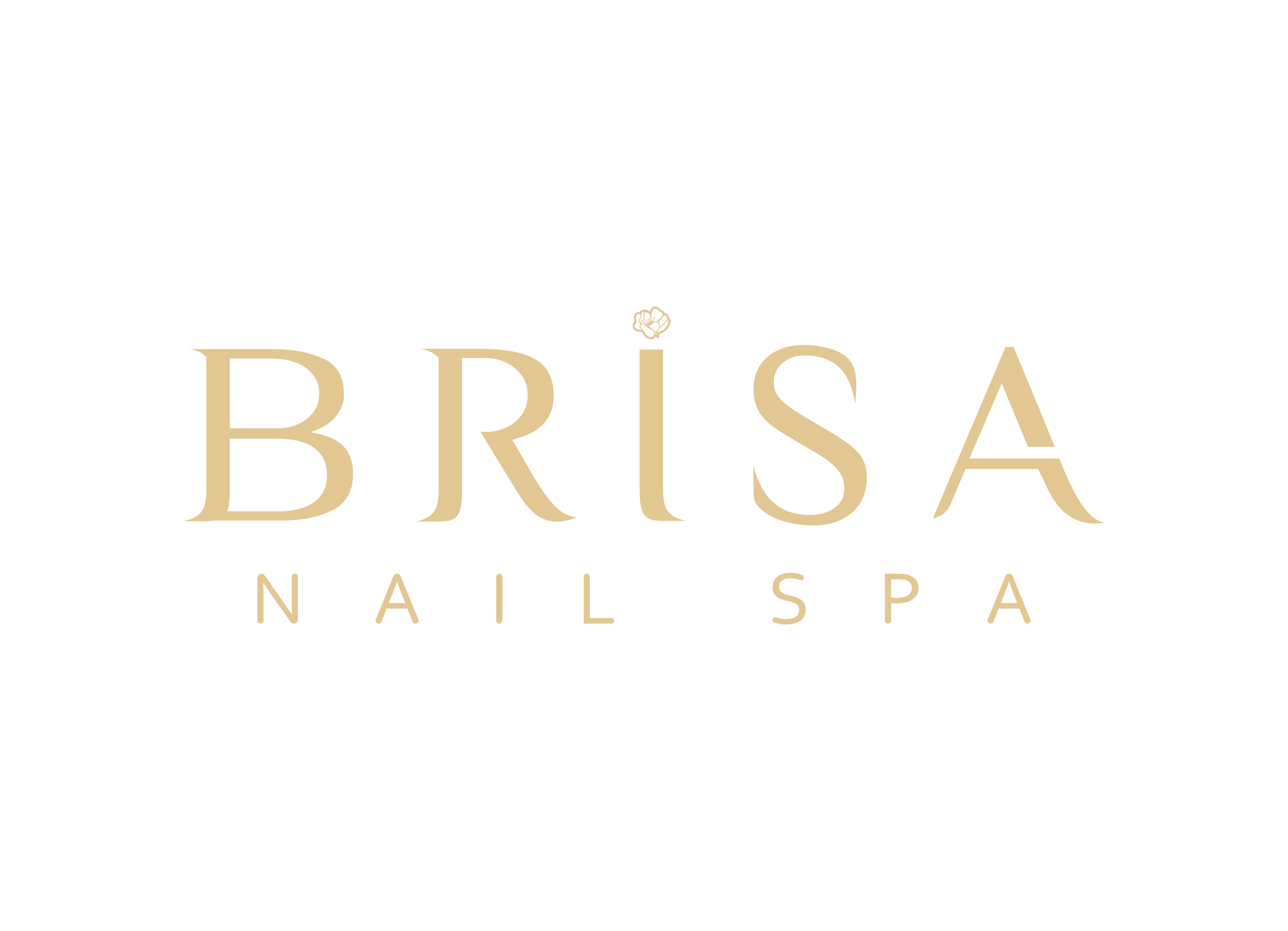 Brisa Nail Spa Logo