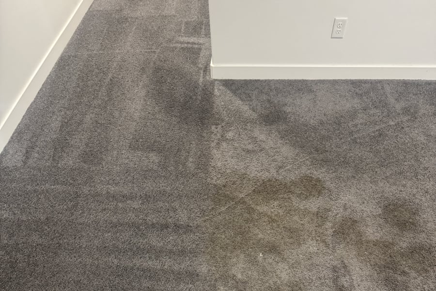 MVP Carpet Cleaning photo
