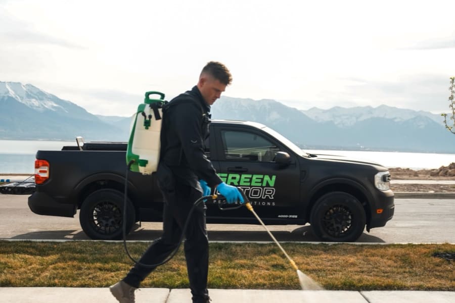 Green Gator Pest Solutions photo