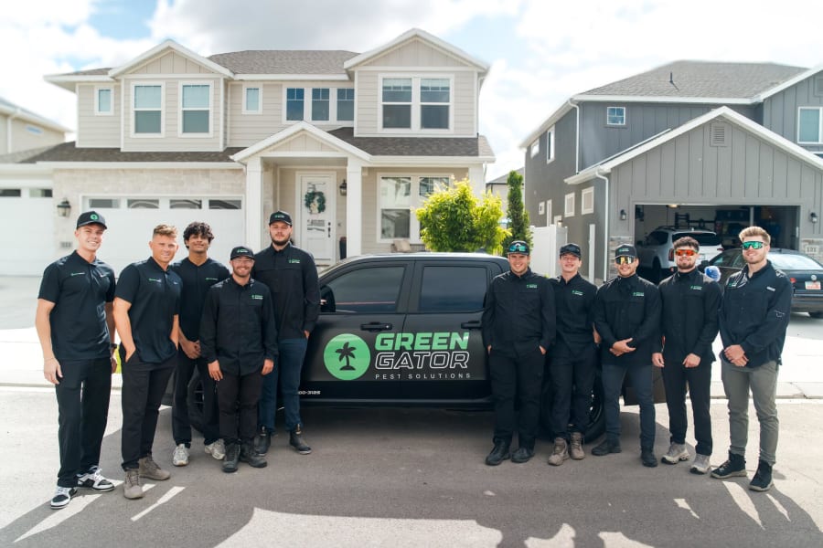Green Gator Pest Solutions photo