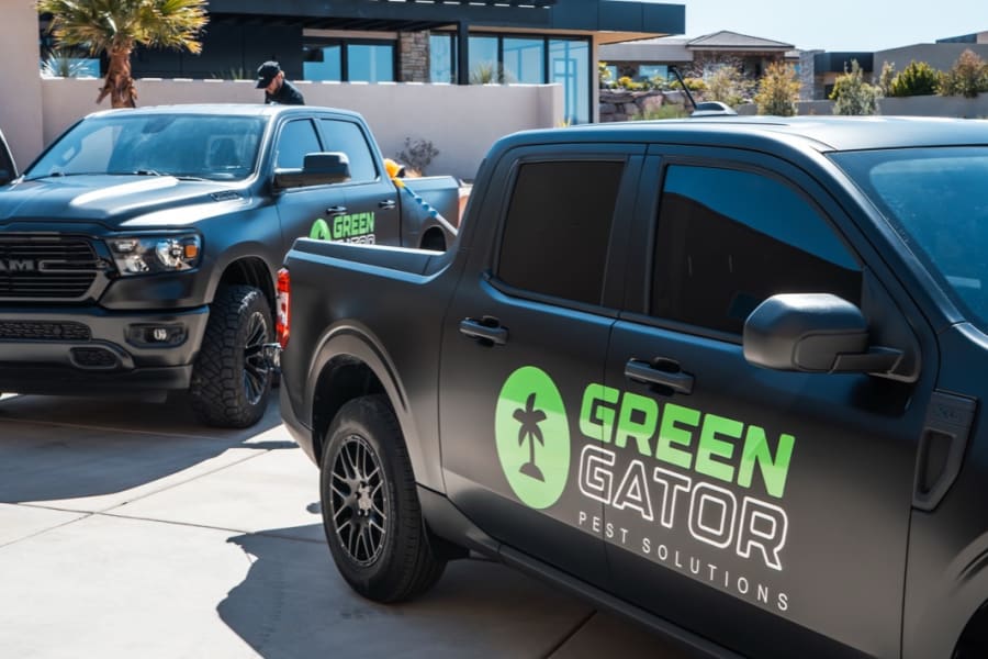 Green Gator Pest Solutions photo