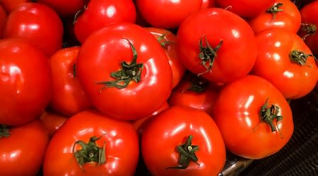 tomato 1kg
