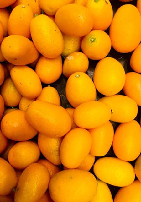 baby orange each