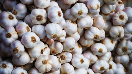 garlic 1kg
