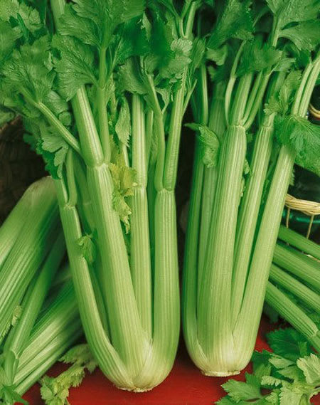celery each