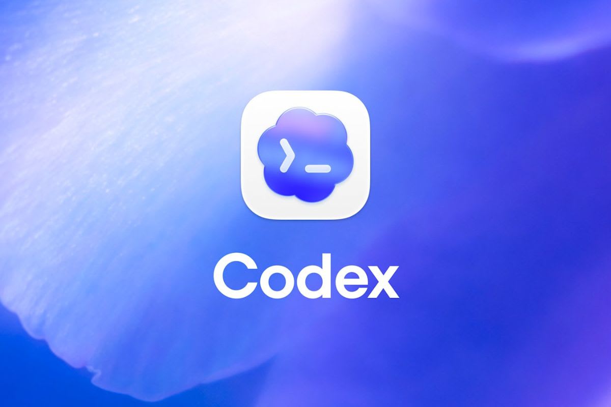 Codex API 500 images/month