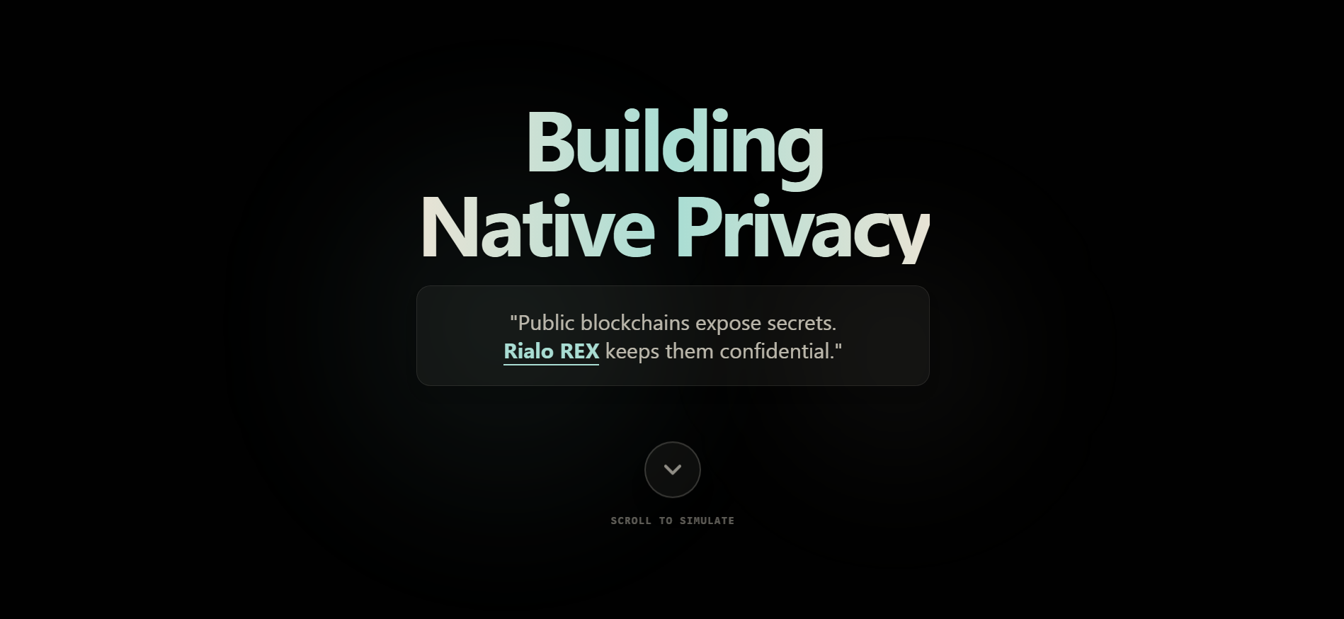 Rialo REX Native Privacy Simulator