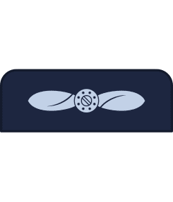Air Specialist (class 2) (UK) UK Air Specialist (class 2)