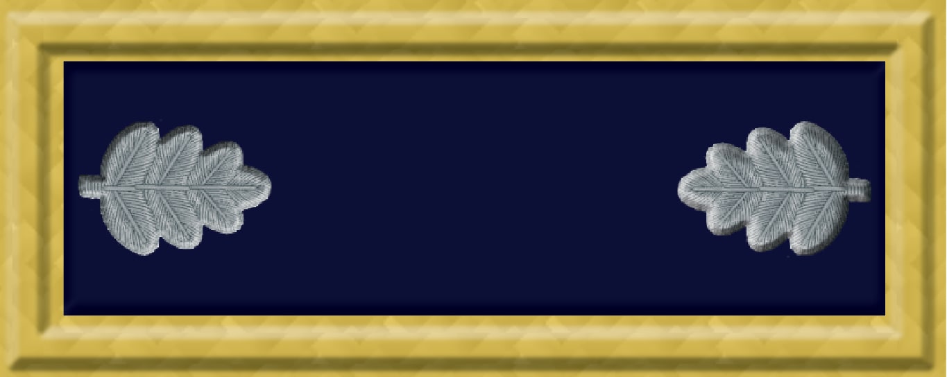Lt Colonel (US) US Lt Colonel