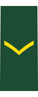 CA Private (trained)
