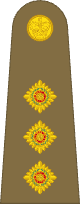 UK Captain