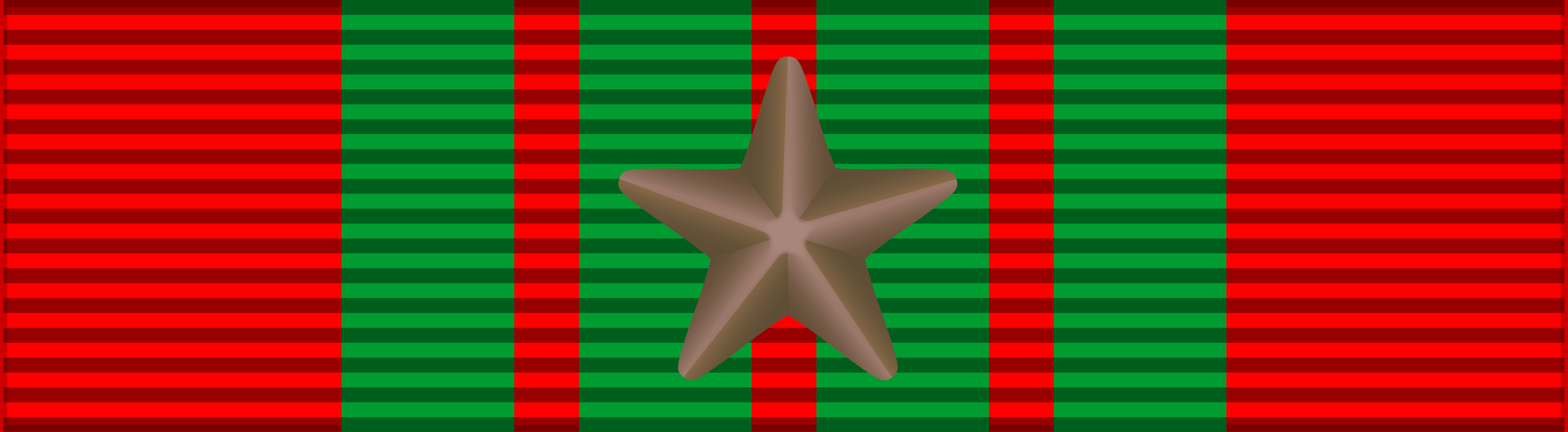 Croix de Guerre 1939–1945 Bronze Star