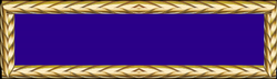 Presidential Unit Citation Air Force