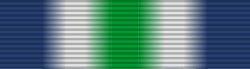 South Atlantic Medal