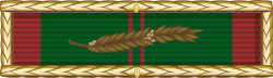 Republic of Vietnam Civil Actions Medal